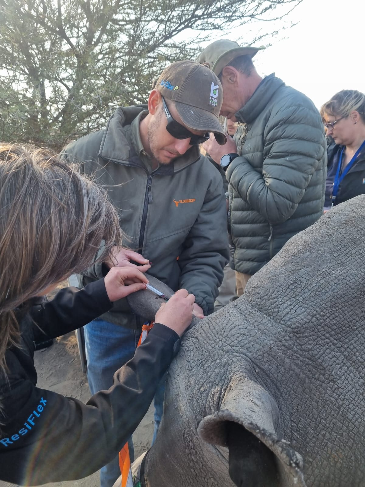 epoc Critical Care/Blood Gas Analyser Helps in Rhino and Elephant Long Term Anaesthesia Workshop for Wildlife Veterinarians